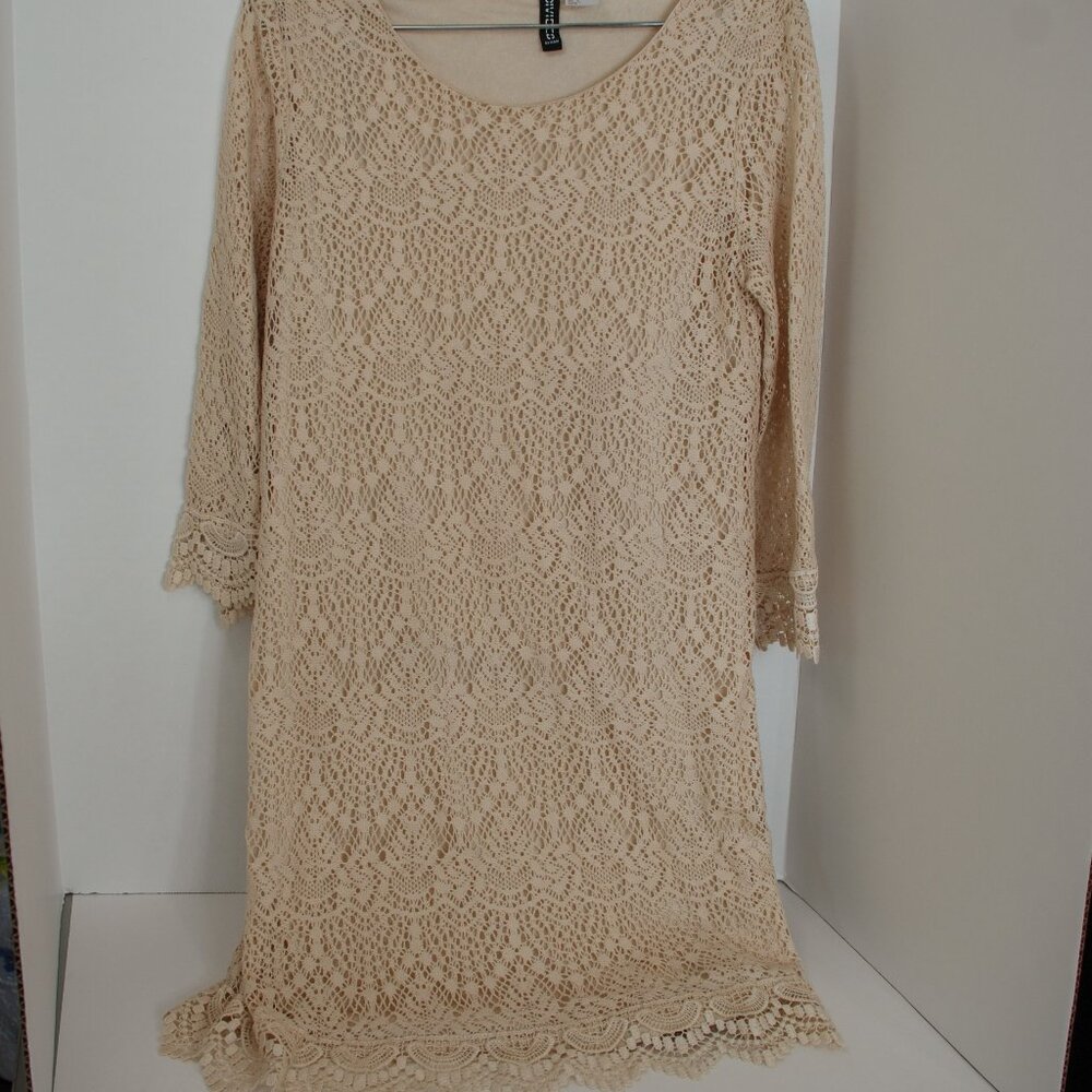 Lace Beige Dress with slip size 6